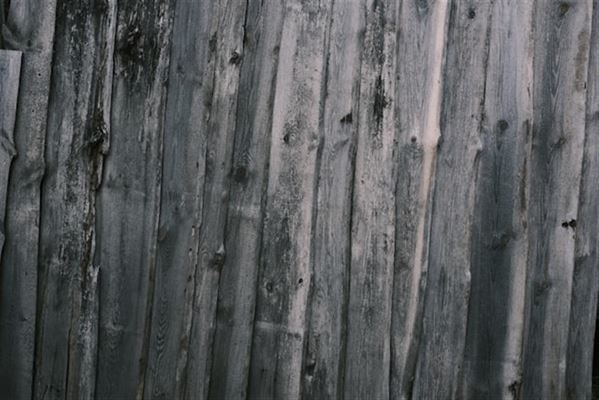 Trætjære som din optimale træbeskyttelse