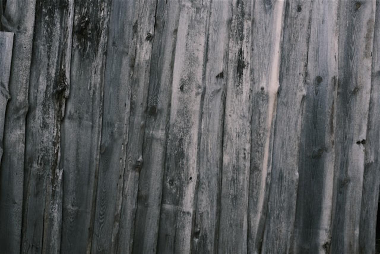 Trætjære som din optimale træbeskyttelse